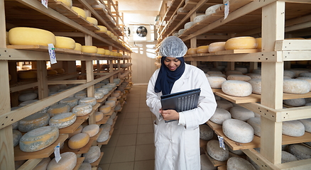 Image showing African black muslim business woman in local cheese production company