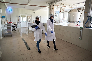 Image showing business woman team in local cheese production company