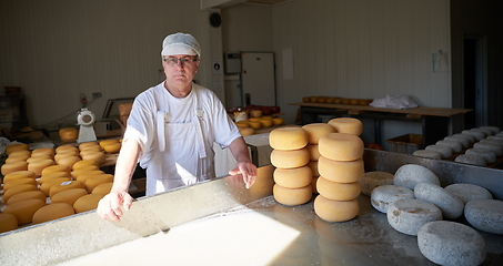 Image showing Cheese maker at local production factory