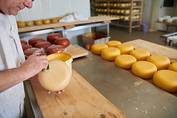 Image showing Cheese maker at local production factory