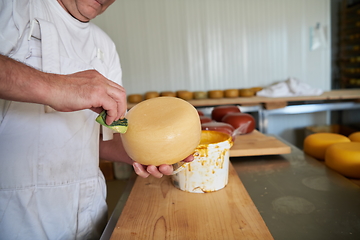 Image showing Cheese maker at local production factory