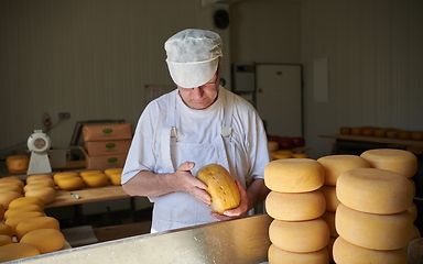 Image showing Cheese maker at local production factory