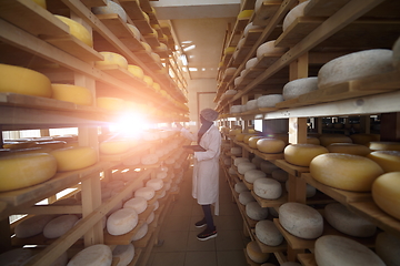 Image showing African black muslim business woman in local cheese production company