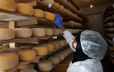 Image showing African black muslim business woman in local cheese production company