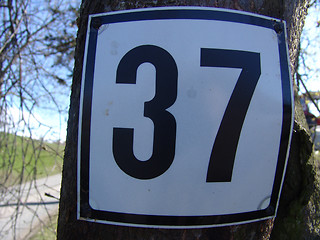 Image showing 37