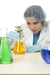 Image showing Scientist with plant in research lab