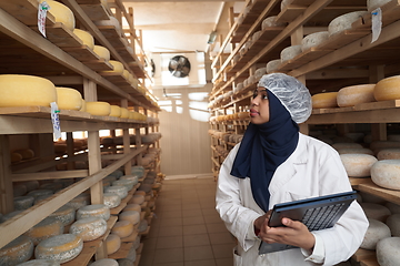 Image showing African black muslim business woman in local cheese production company