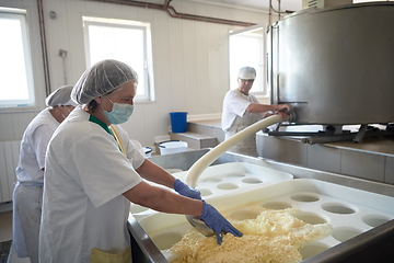 Image showing Workers preparing raw milk for cheese production