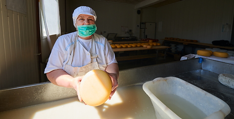 Image showing Workers preparing raw milk for cheese production