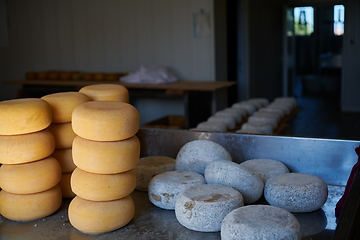 Image showing Cheese factory production shelves with aging old cheese