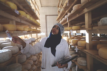 Image showing African black muslim business woman in local cheese production company