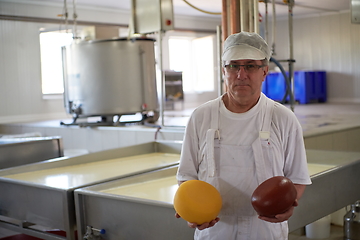 Image showing Cheese production cheesemaker working in factory