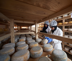 Image showing business woman team in local cheese production company