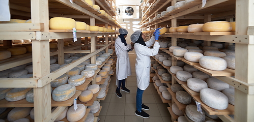 Image showing business woman team in local cheese production company