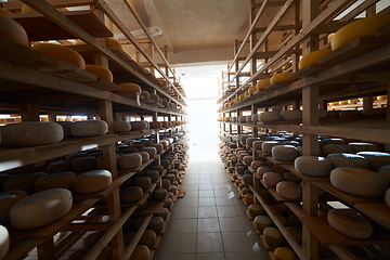 Image showing Cheese factory production shelves with aging old cheese