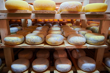 Image showing Cheese factory production shelves with aging old cheese