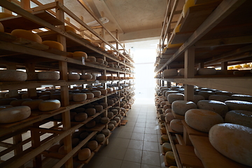 Image showing Cheese factory production shelves with aging old cheese