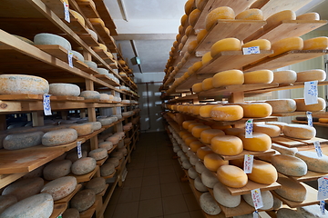 Image showing Cheese factory production shelves with aging old cheese