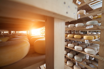 Image showing Cheese factory production shelves with aging old cheese