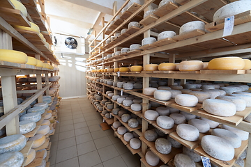 Image showing Cheese factory production shelves with aging old cheese