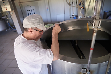 Image showing Cheese production cheesemaker working in factory