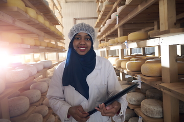 Image showing African black muslim business woman in local cheese production company