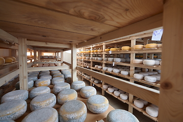 Image showing Cheese factory production shelves with aging old cheese