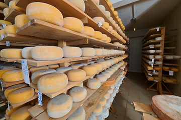 Image showing Cheese factory production shelves with aging old cheese
