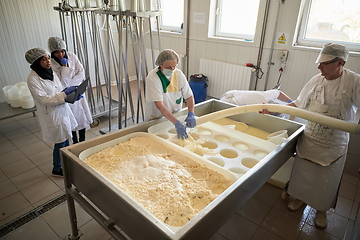 Image showing Workers preparing raw milk for cheese production