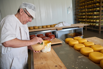 Image showing Cheese maker at local production factory