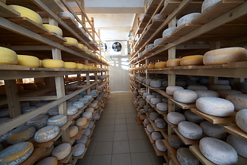 Image showing Cheese factory production shelves with aging old cheese