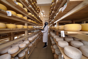 Image showing African black muslim business woman in local cheese production company