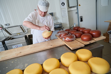 Image showing Cheese maker at local production factory