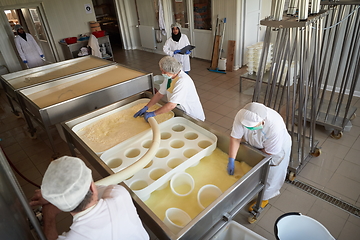 Image showing Workers preparing raw milk for cheese production