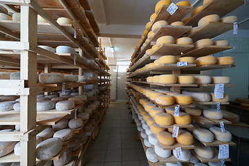 Image showing Cheese factory production shelves with aging old cheese