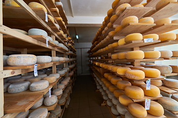 Image showing Cheese factory production shelves with aging old cheese