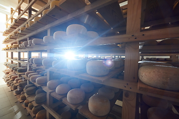 Image showing Cheese factory production shelves with aging old cheese