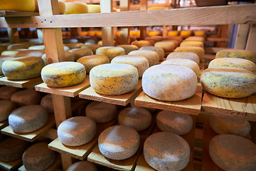 Image showing Cheese factory production shelves with aging old cheese