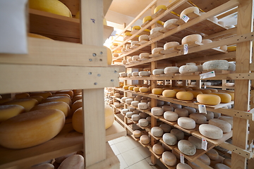 Image showing Cheese factory production shelves with aging old cheese