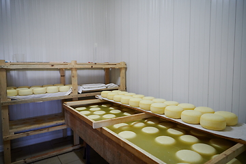 Image showing Cheese factory production shelves with aging old cheese