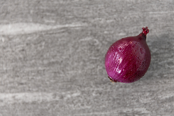 Image showing red onion on wet slate stone background