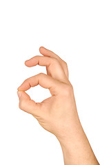 Image showing Hand