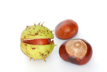 Image showing Horse-chestnuts