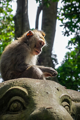 Image showing Monkey on a cow statue in the Monkey Forest, Ubud, Bali, Indones
