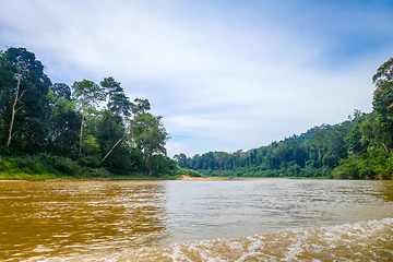 Image showing River and jungle in Taman Negara national park, Malaysia