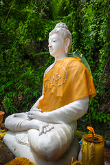 Image showing Buddha statue in jungle, Wat Palad, Chiang Mai, Thailand