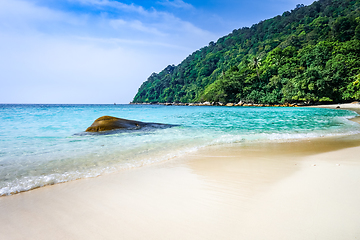 Image showing Turtle Beach, Perhentian Islands, Terengganu, Malaysia