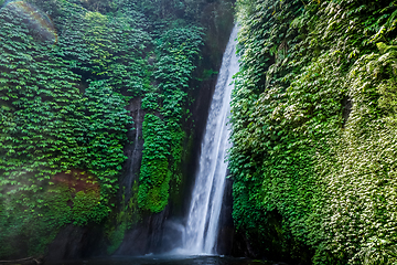 Image showing Red Coral Waterfall, Munduk, Bali, Indonesia