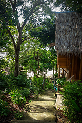 Image showing Traditional tropical hut in Koh Lipe, Thailand