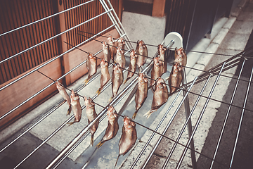 Image showing Drying fish, Kyoto, Japan